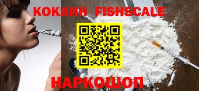 стафф Гусев