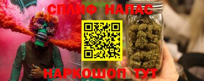 a pvp Дубна