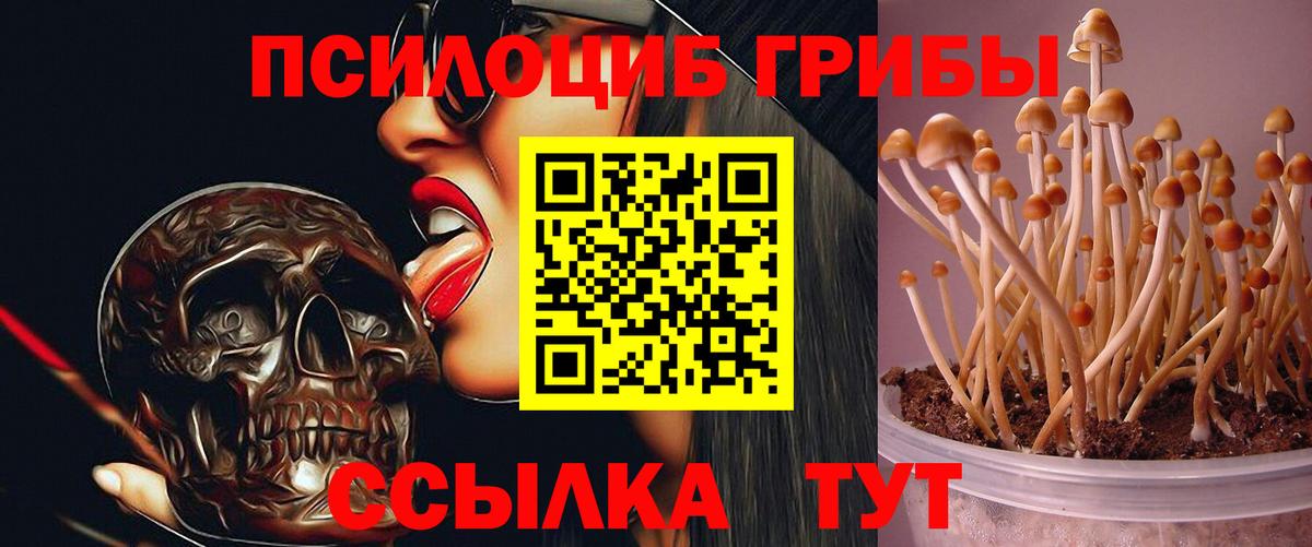 Псилоцибиновые грибы Magic Shrooms Мариинск