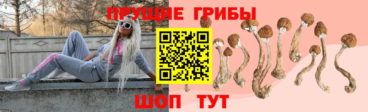 Псилоцибиновые грибы Psilocybe  Вход с VPN  Мариинск 